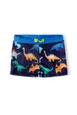 Printed Swim Trunk (1y-3y)