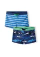 Boys 2 Pack All-Over Print Rash Short Boys 2 Pack All-Over Print Rash Short