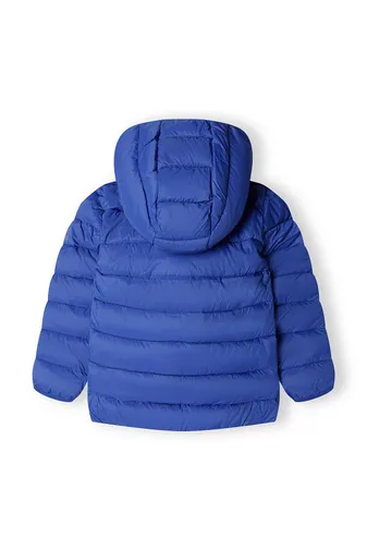 Boys Padded Jacket With Hood And Contrast Lining <span>(2y-8y)</span>-2