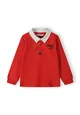 Boys Long sleeve polo shirt with collar and back print Boys Long sleeve polo shirt with collar and back print