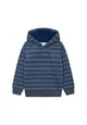 Stripe Hooded Fleece (1y-3y)