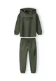 Boys Printed hoodie and joggers skate set