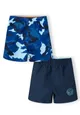 Boys 2 Pack Beach and Swimming Shorts